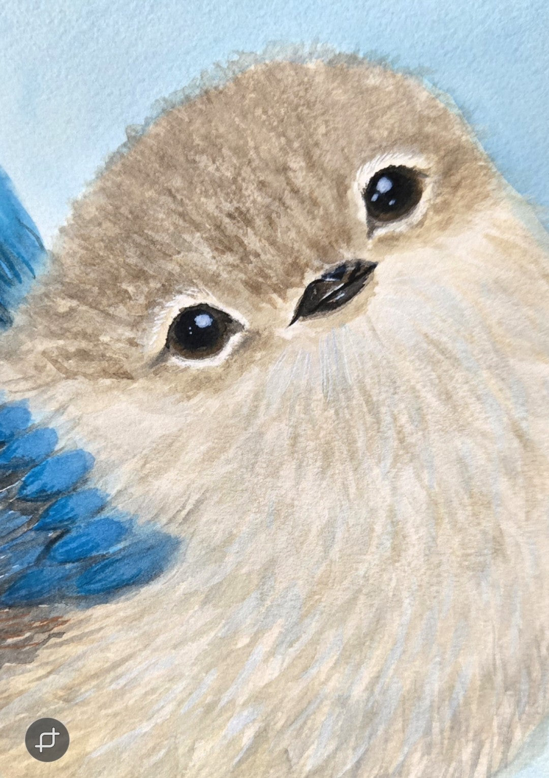 Close up of the Bluebird Whispers original watercolor painting 9x12 by Paula A. Chavers, sweet blue bird nursery wall art, delicate illustration for baby or kid's room decor.