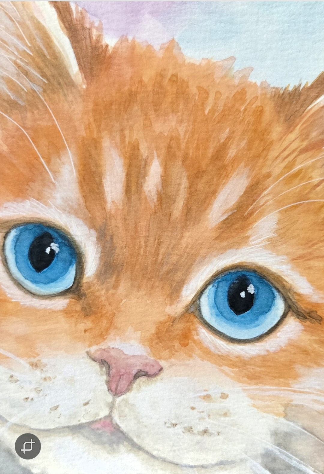 Close up Ocean Eyes Kitten original watercolor painting 9x12 by Paula A. Chavers, blue-eyed white and grey cat wall art, sweet kitten illustration for nursery, child's bedroom, or coastal decor.