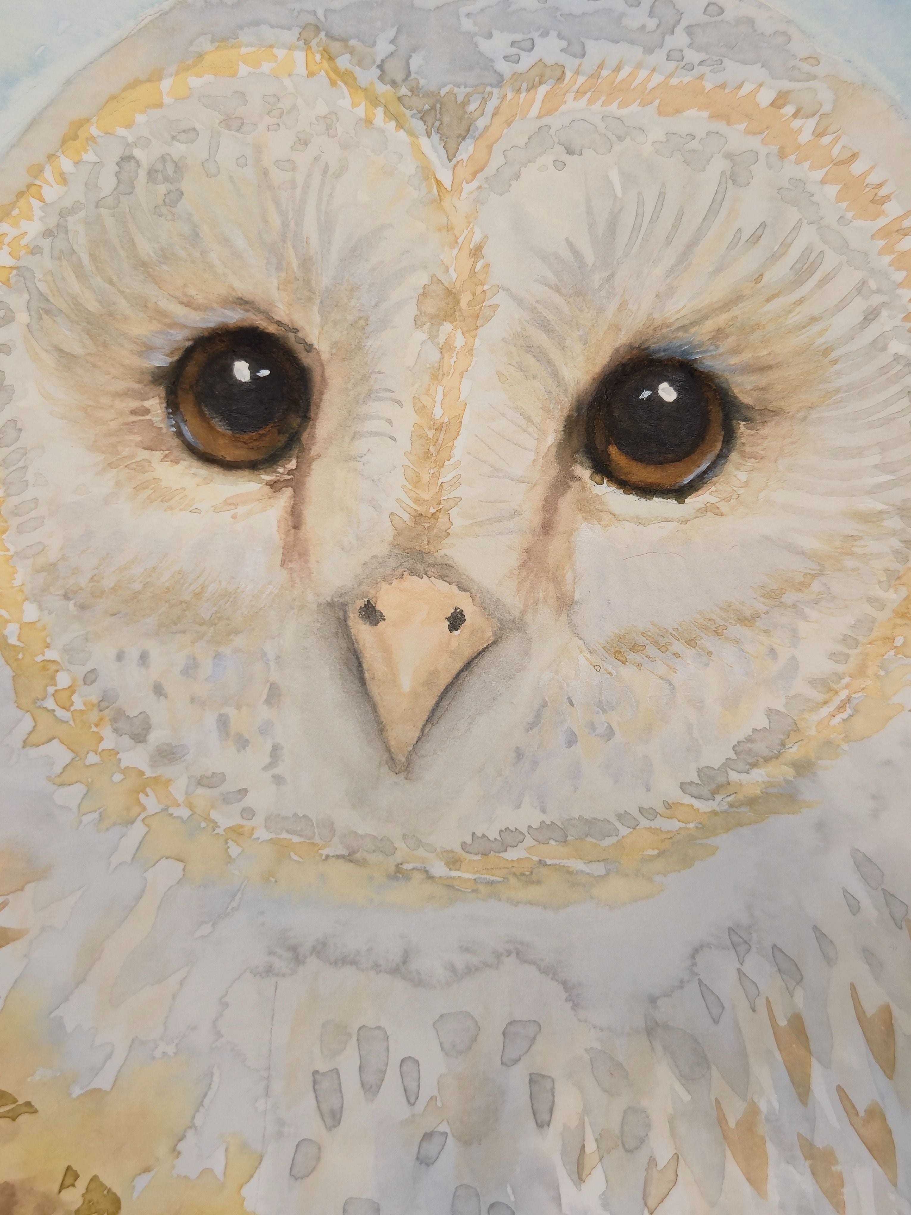 Barn owl watercolor painting titled 'Gentle Watcher' by Paula A. Chavers, original 9x12 bird wall art for nursery or nature-themed decor.