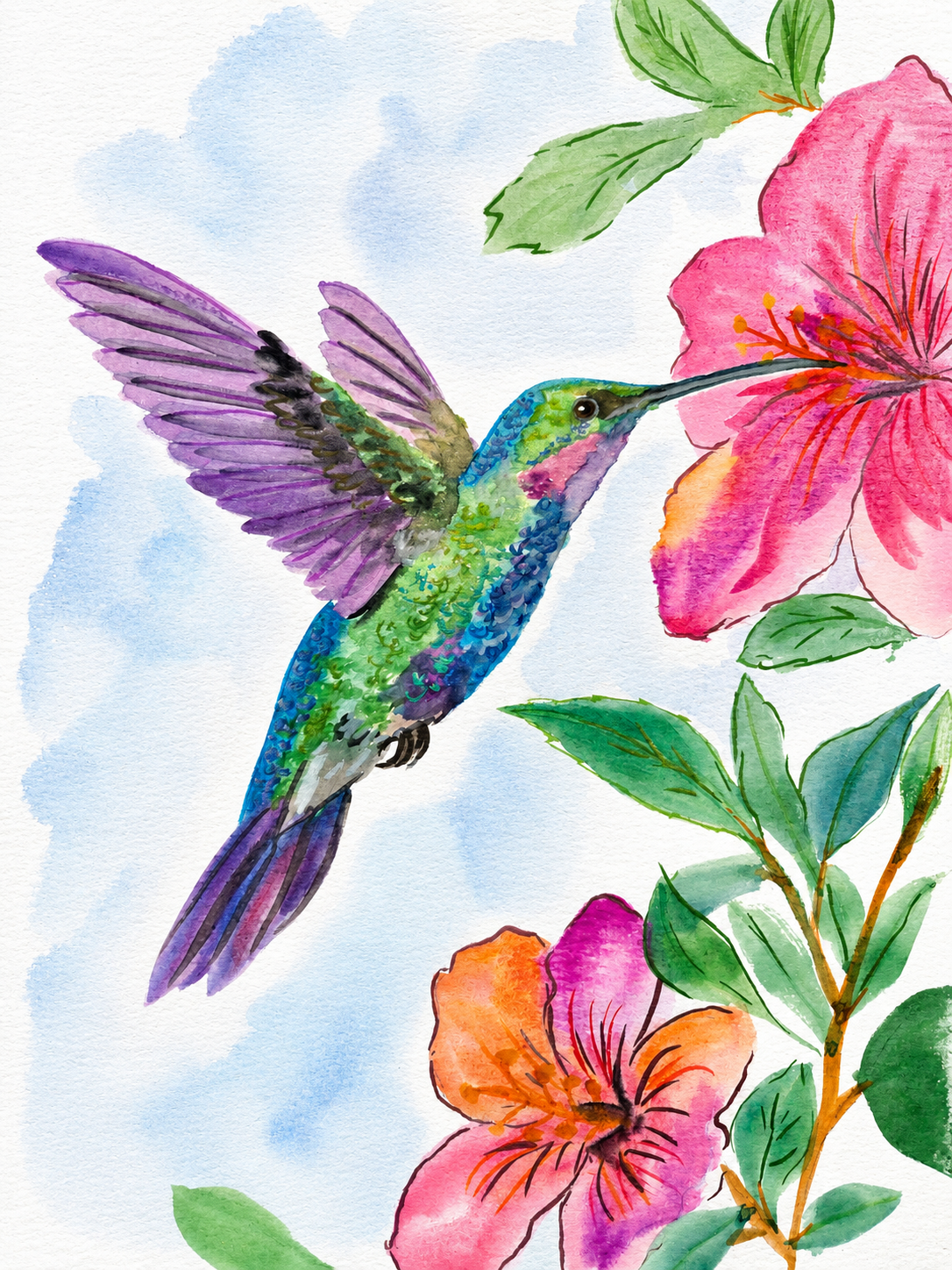 Hummingbird Blossom Dance original watercolor painting 9x12 by Paula A. Chavers, vibrant hummingbird and flowers wall art, modern floral illustration for bright home or nursery decor.