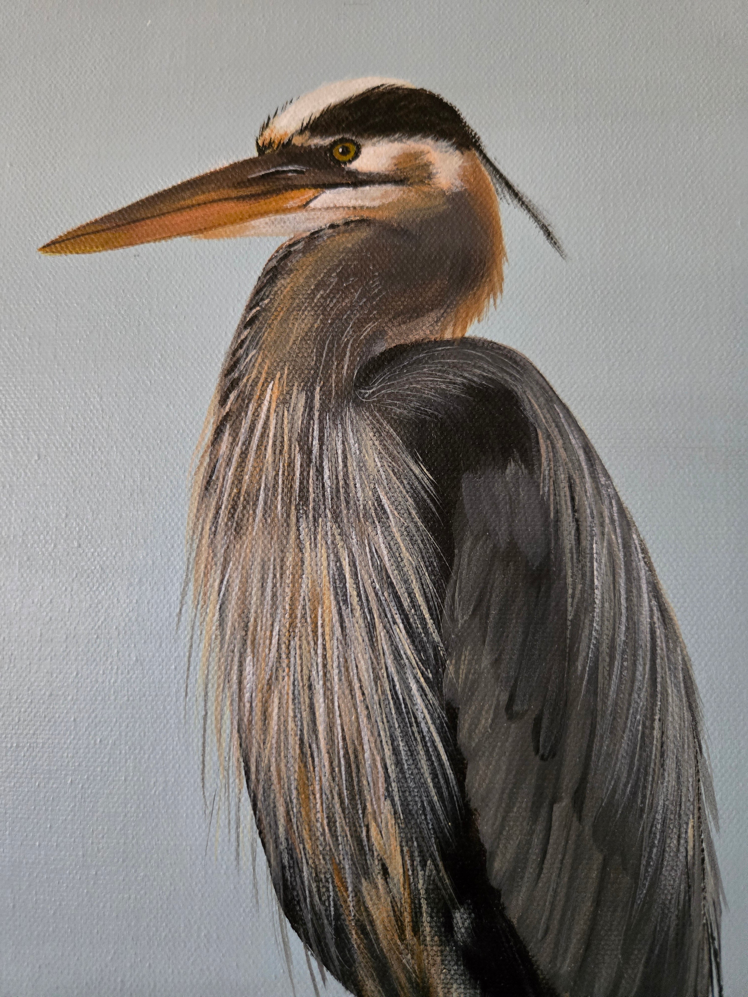 Blue heron standing in water acrylic painting titled 'Still Waters' by Paula A. Chavers, coastal bird wall art 11x14 for beach house decor.