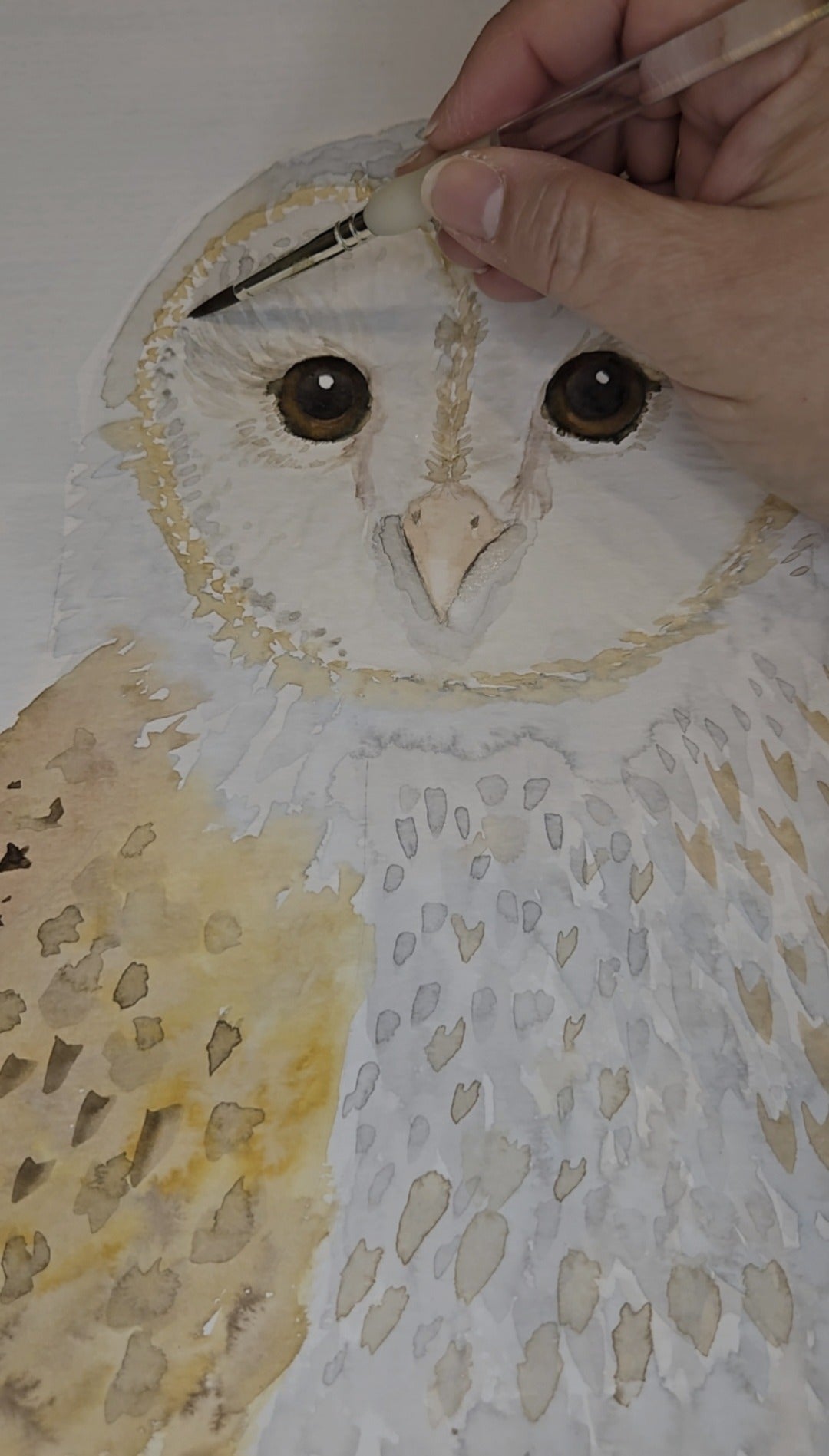 Barn owl watercolor painting titled 'Gentle Watcher' by Paula A. Chavers, original 9x12 bird wall art for nursery or nature-themed decor.