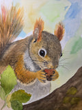 Curious Squirrel | Original Watercolor Painting (9x12 in)