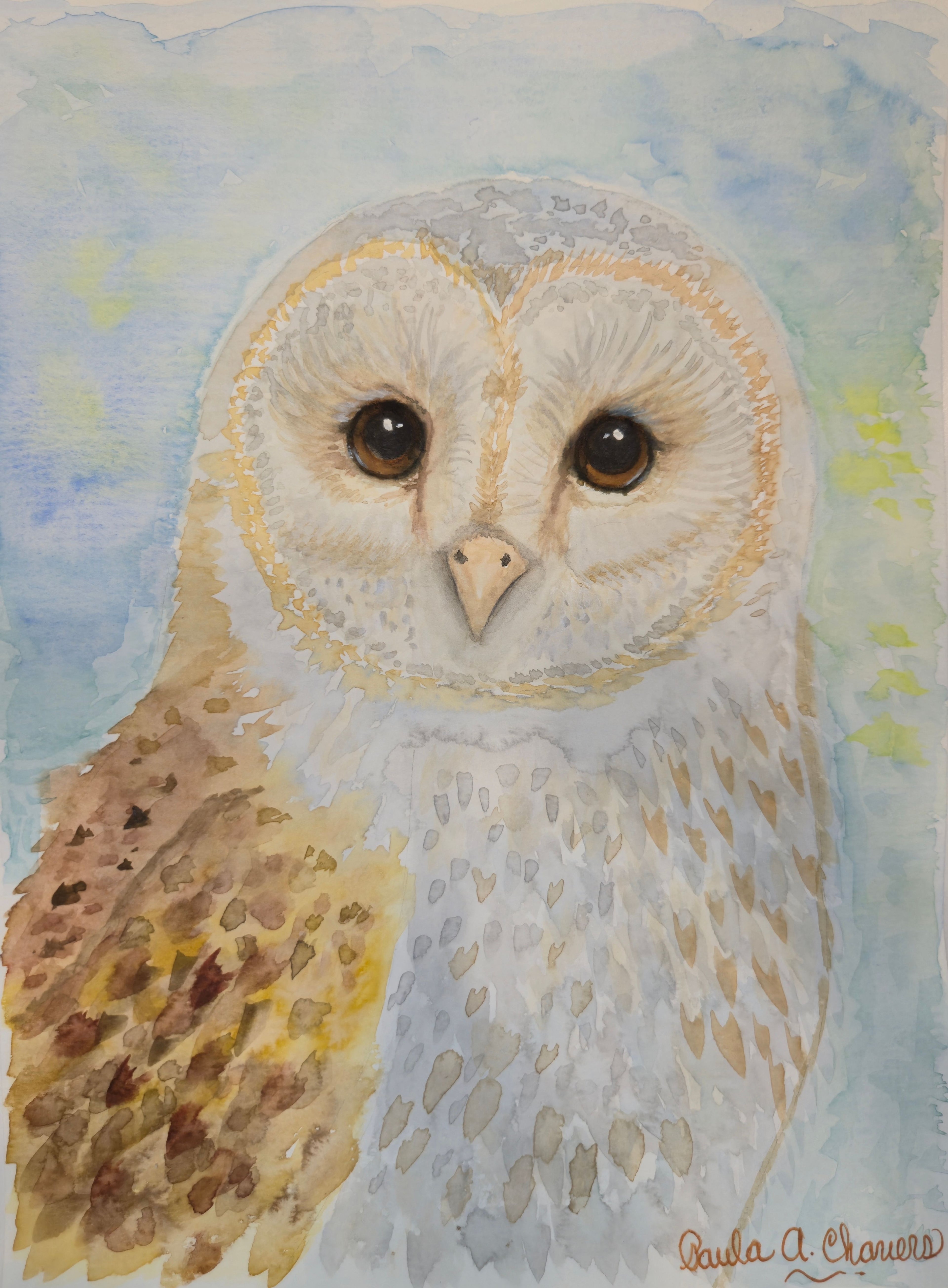 Original barn owl watercolor painting Gentle Watcher owl artwork by Paula A. Chavers